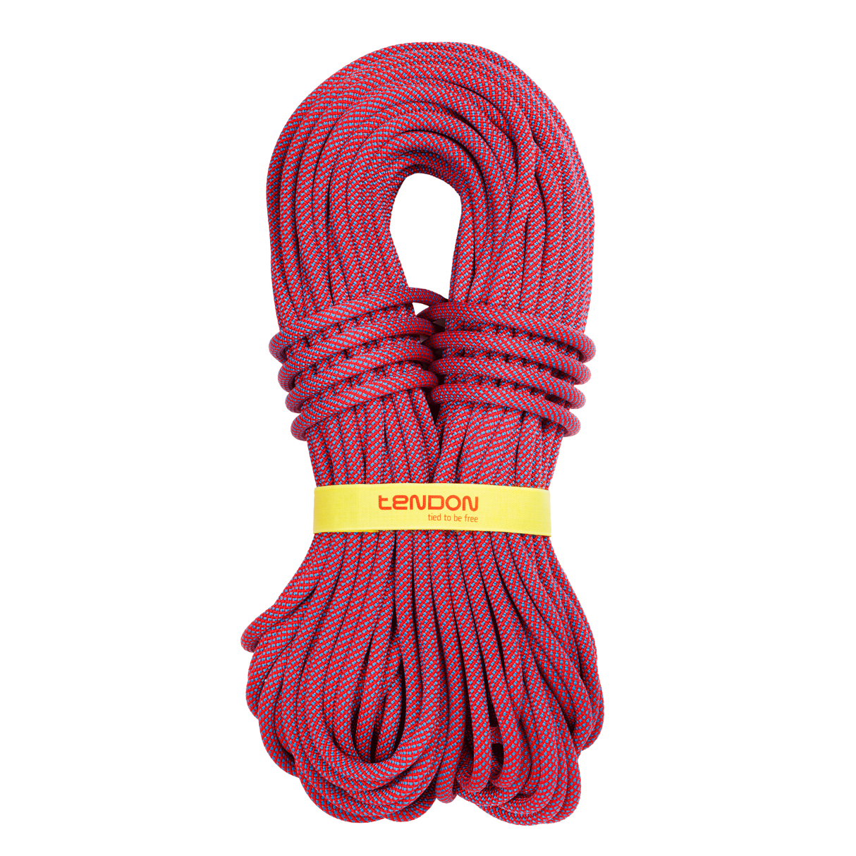 Lano Tendon Ambition 10.5