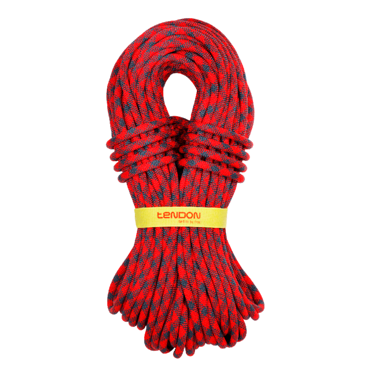 Lano Tendon Trust 11.0