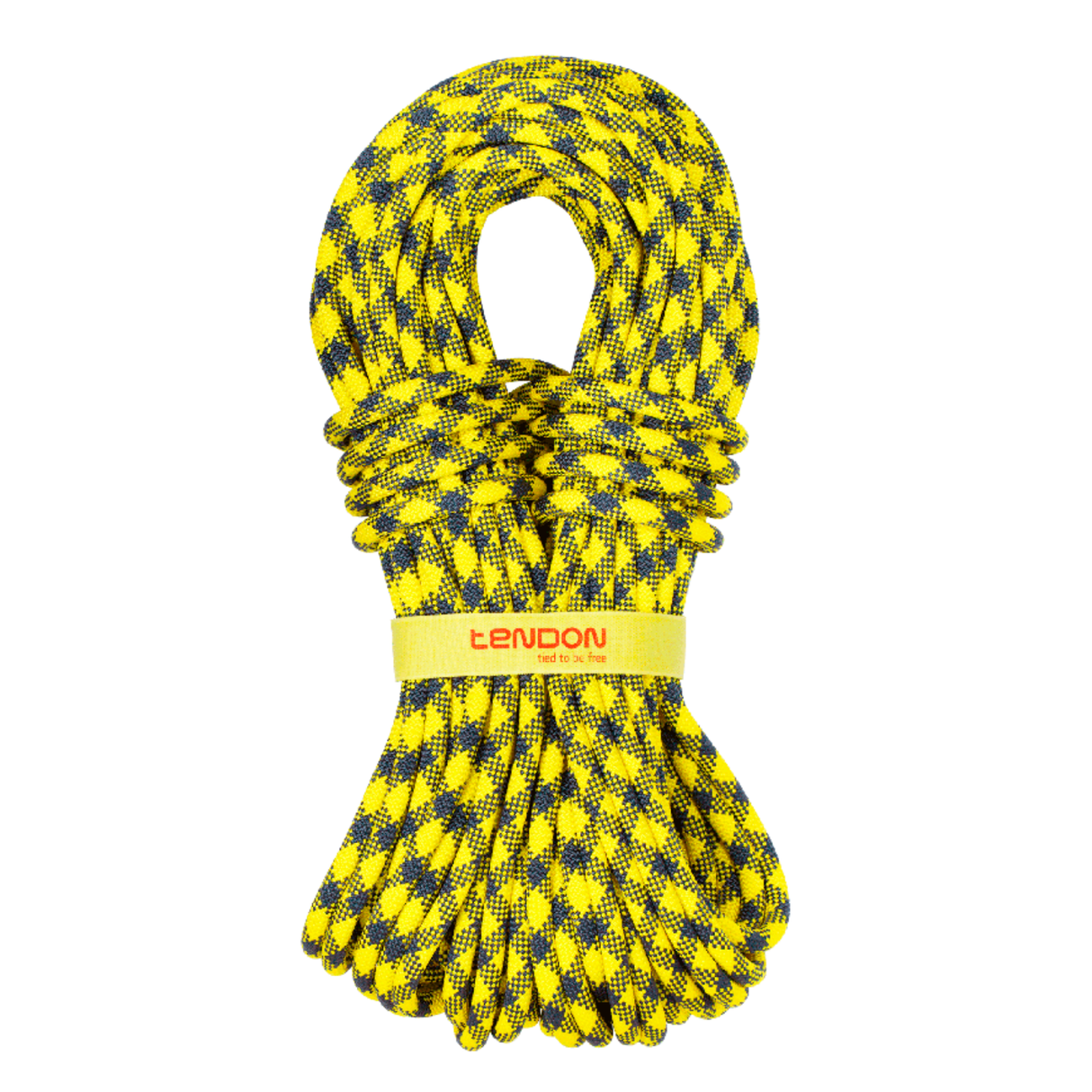 Lano Tendon Trust 11.0