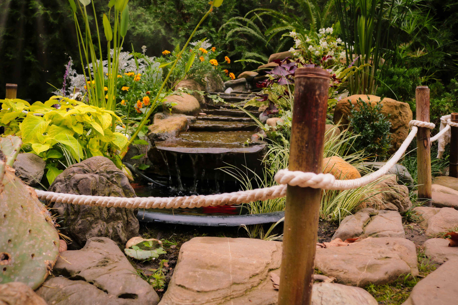 Oldtimer: Klasika mezi lanovými produkty