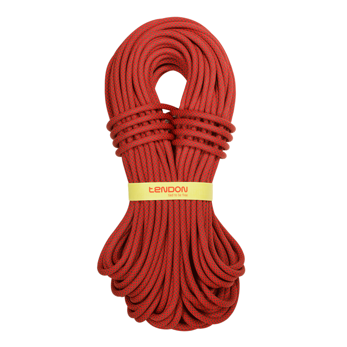 Lano Tendon Ambition 10.0