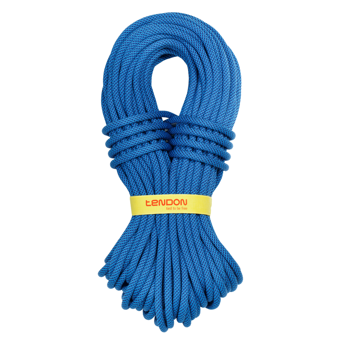 Lano Tendon Ambition 10.5