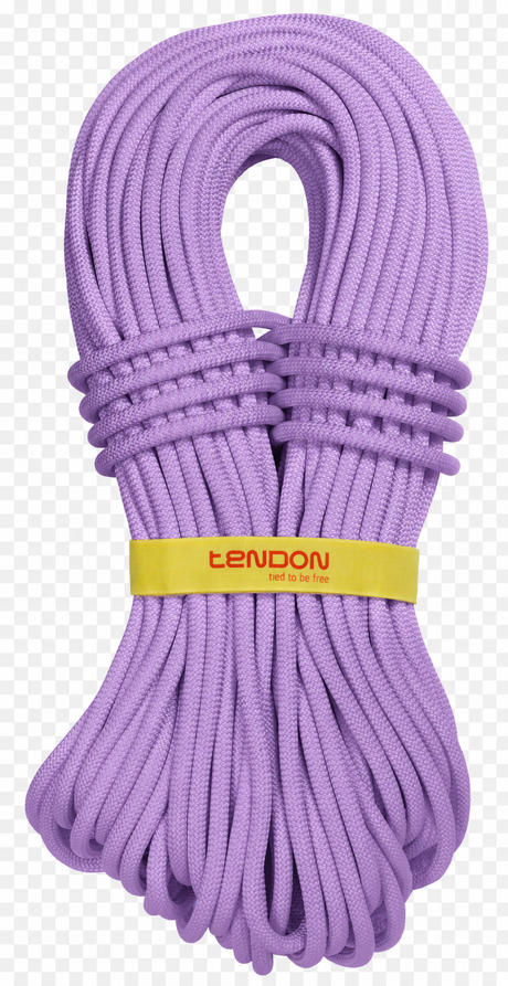 Lano Tendon Ambition 9.8 standard