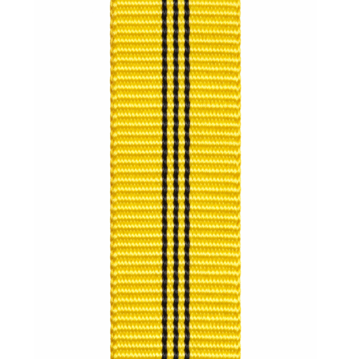Dutý popruh