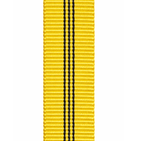 Dutý popruh
